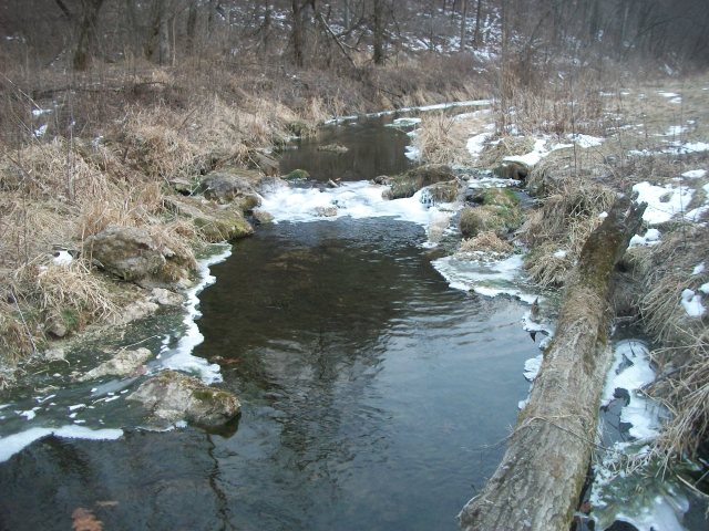 trout stream