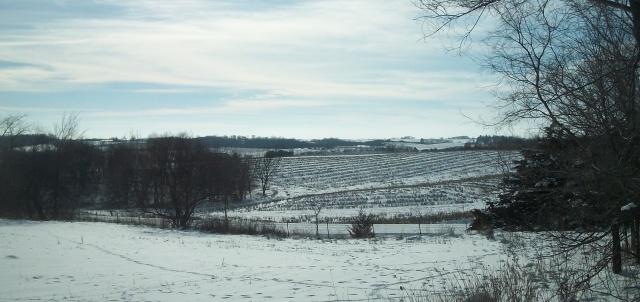 northeast iowa farm field